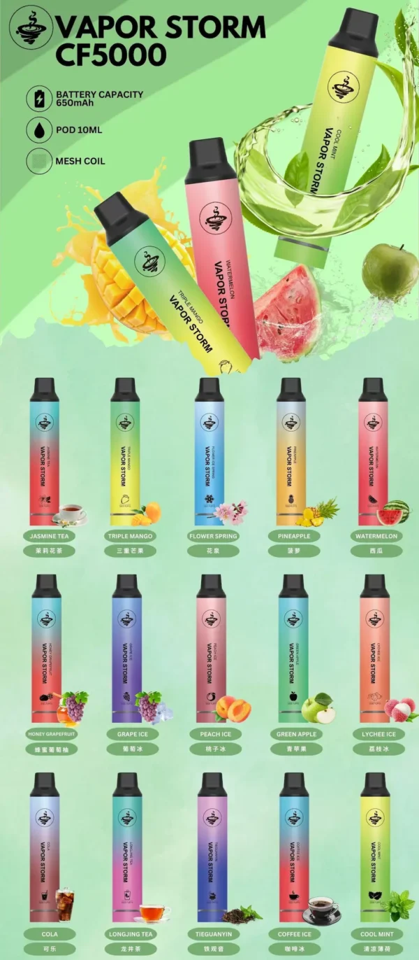 VAPOR STORM 風暴5000口 拋棄式霧化裝置|跨越萬次吸吮的品質保證 霧感乾淨俐落擊喉順暢體驗