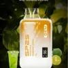 SP2S GEM 9000口 | 大容量霧化設備 | 長效續航穩定輸出果香層次清晰 開啟無與倫比的流暢吸啜時光