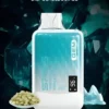 SP2S GEM 9000口 | 大容量霧化設備 | 長效續航穩定輸出果香層次清晰 開啟無與倫比的流暢吸啜時光